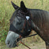 Cashel Quiet Ride Fly Mask with Ears